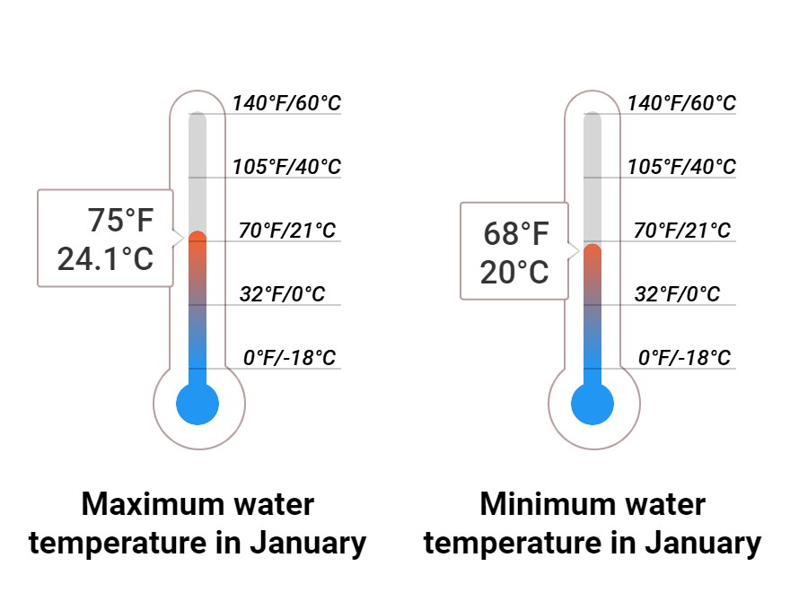 Average Sea temperature